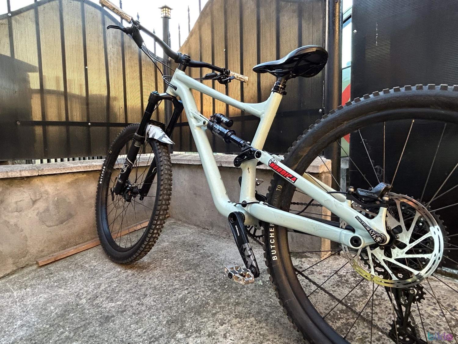 3. Specialized status 16