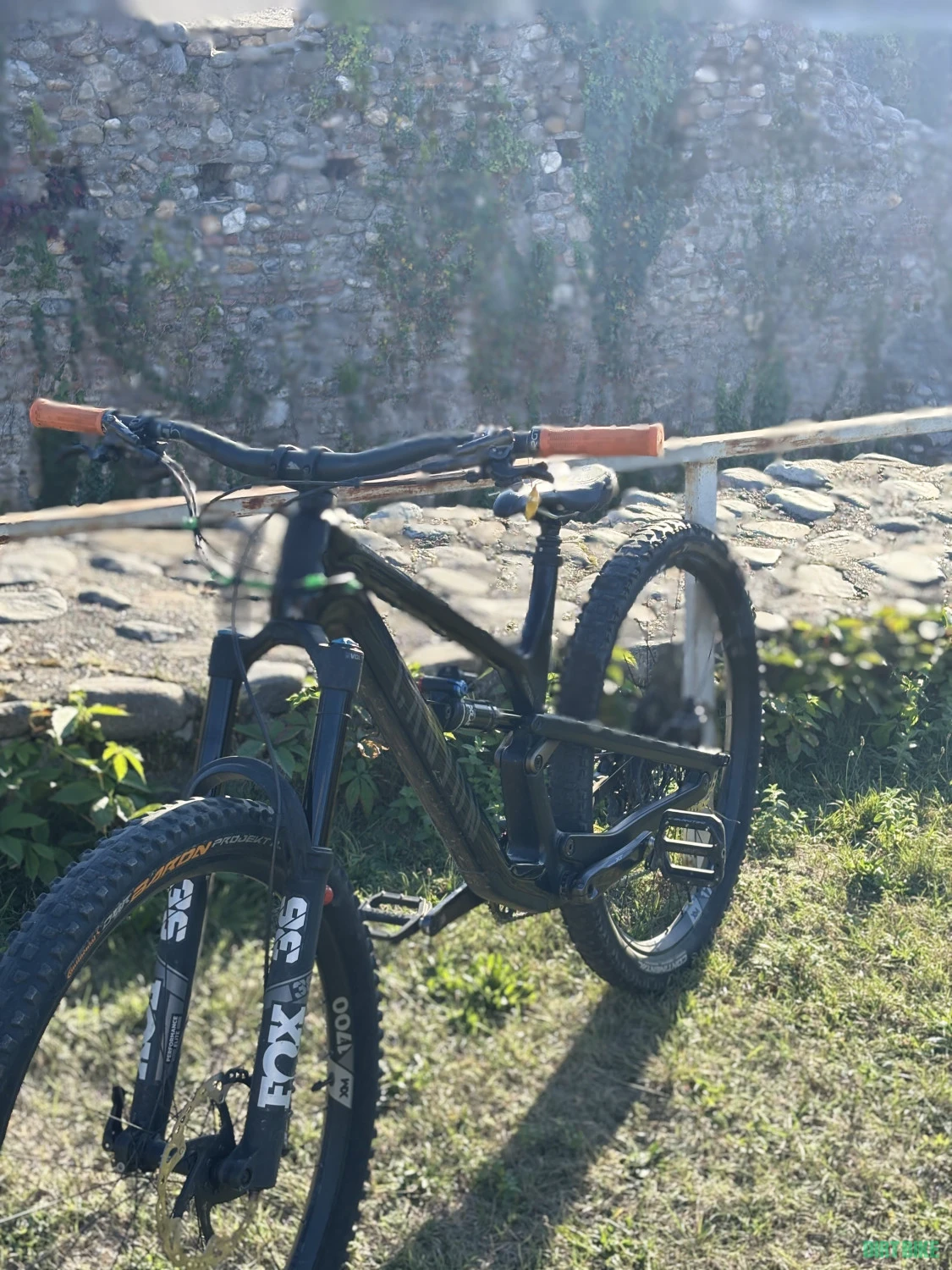 1. Canyon spectral Al 2024