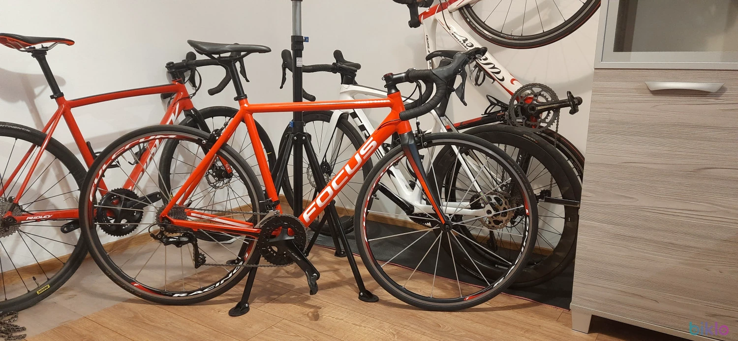 6. Focus Izalco Race (M - 54cm)