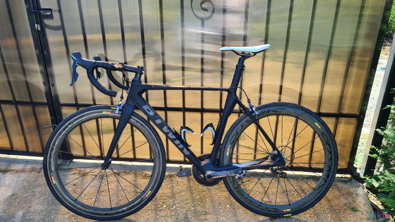 4. Cursiera carbon