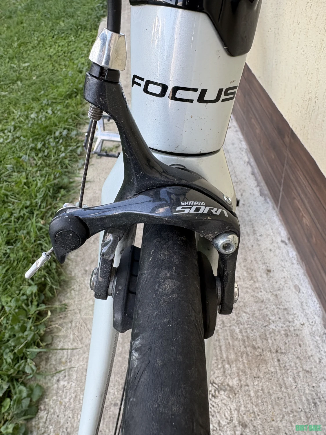 7. Focus Izalco Race