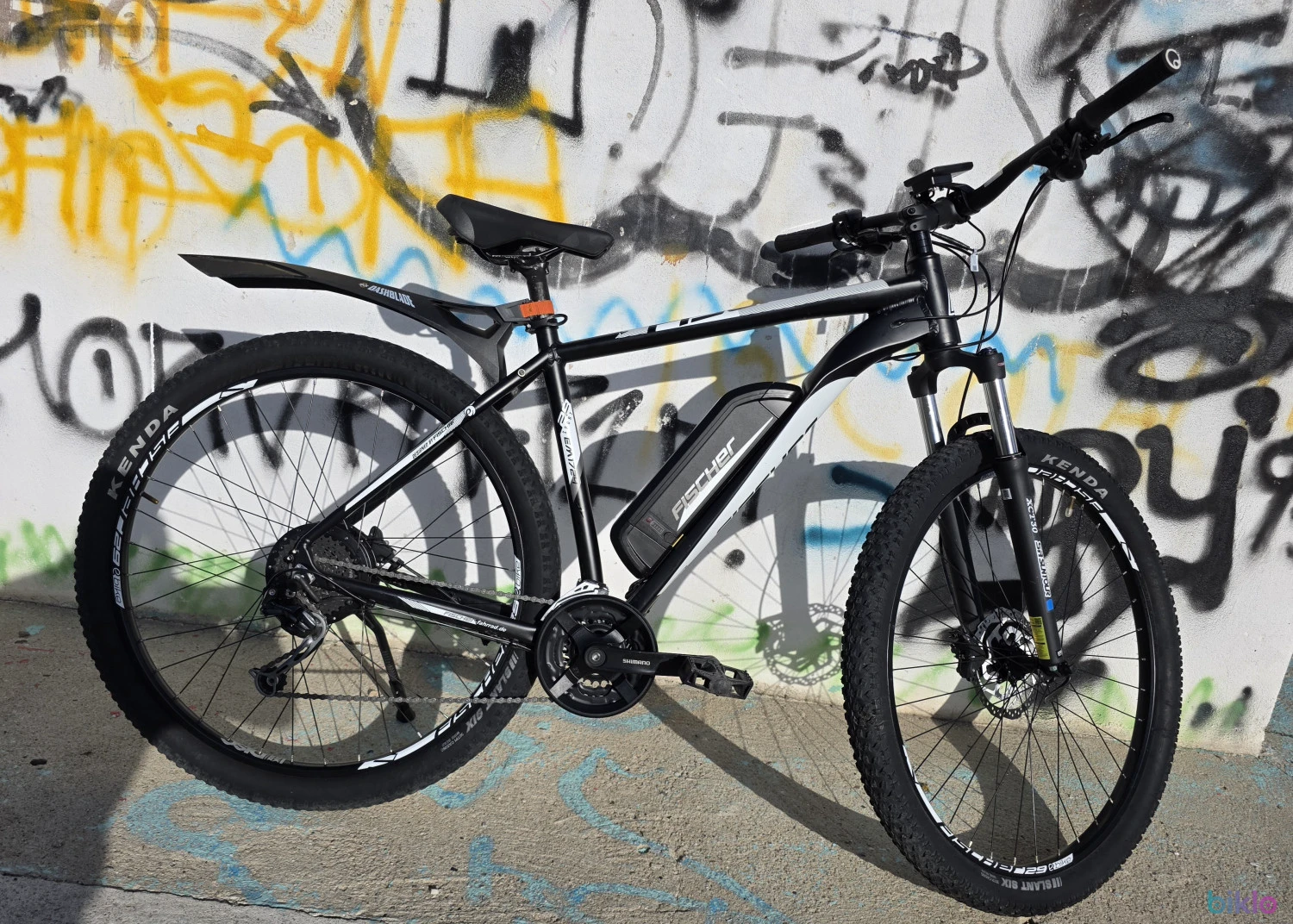 1. Fischer EM1724 e-bike roti29"