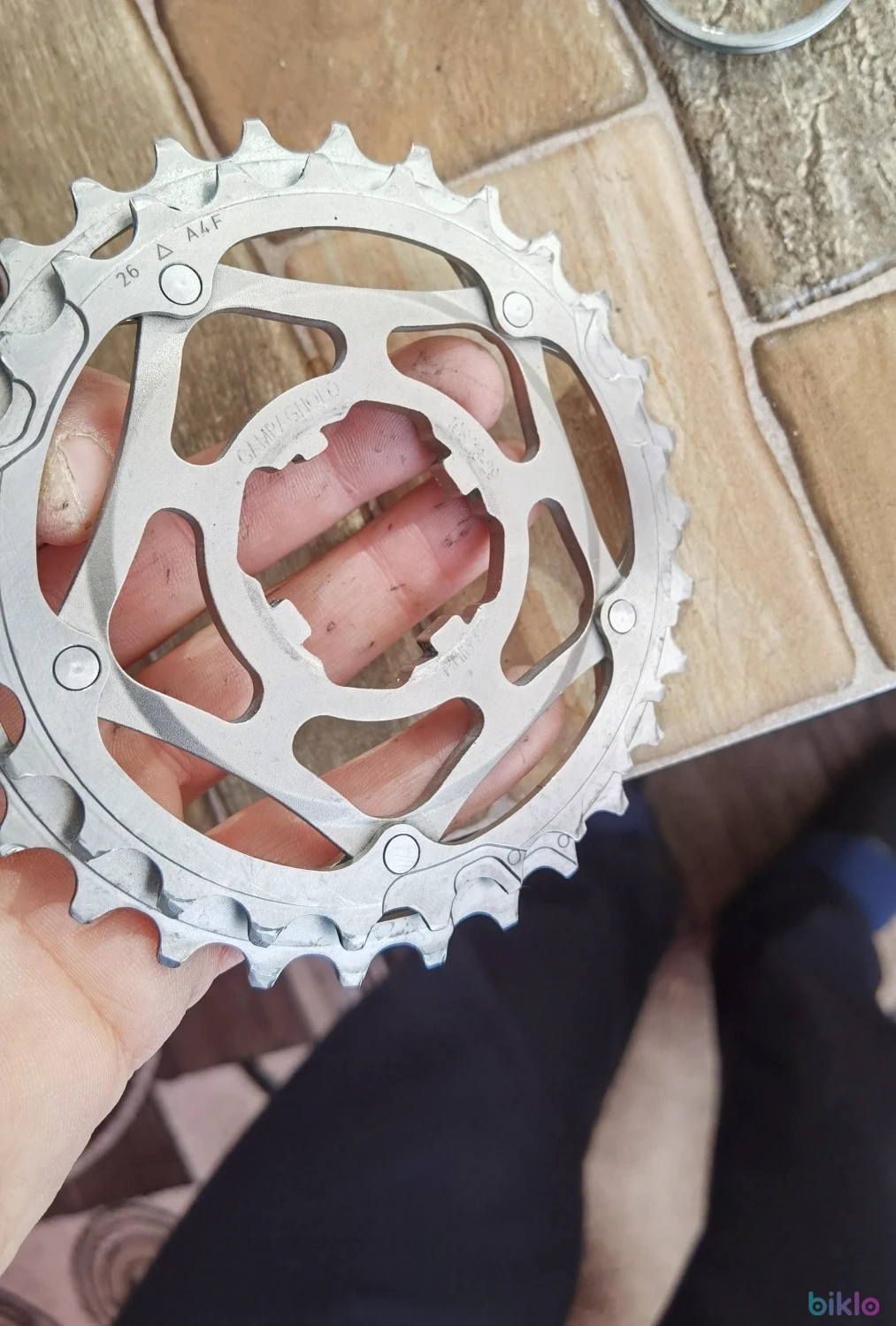 1. Foi pinioane campagnolo