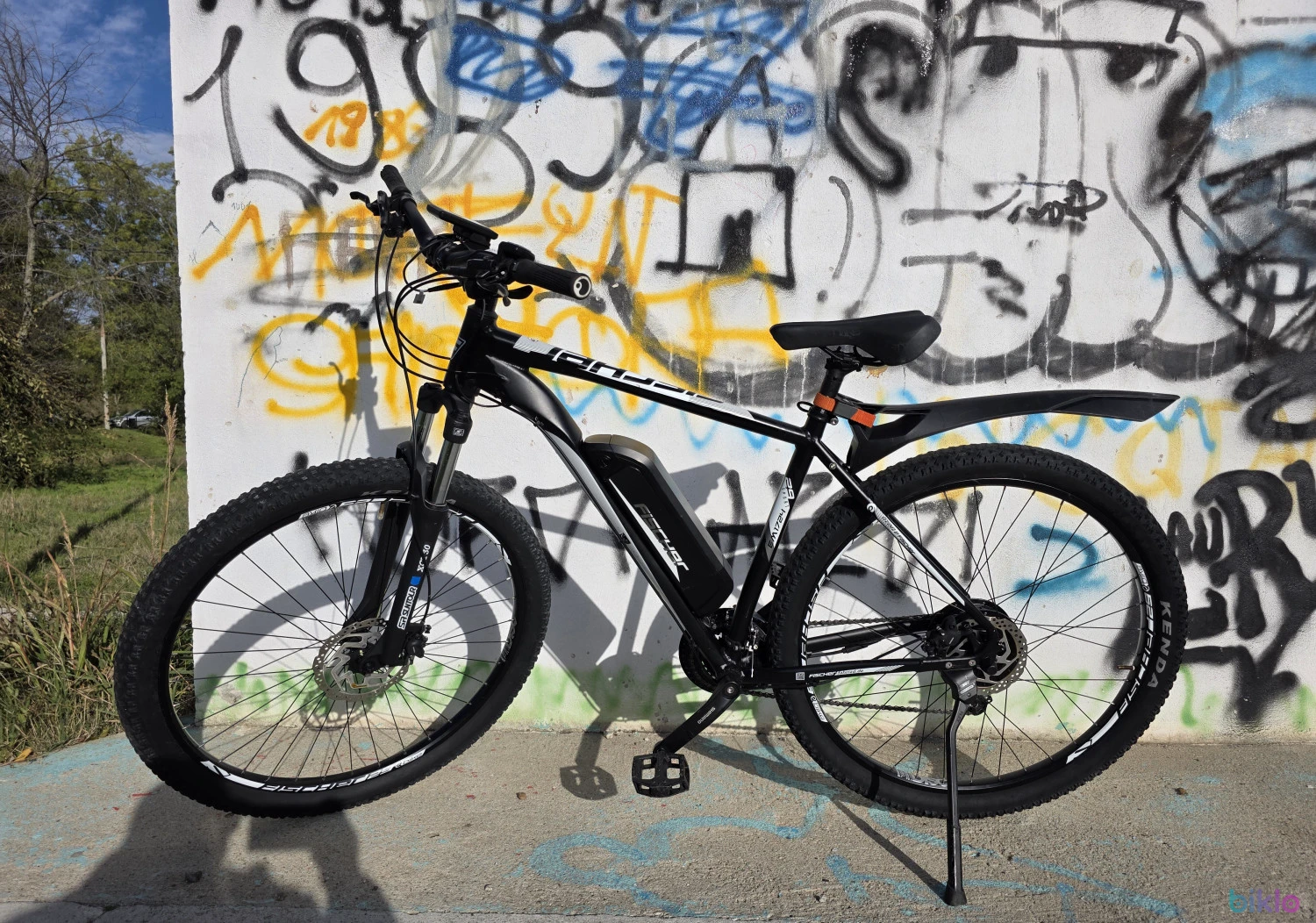 2. Fischer EM1724 e-bike roti29"