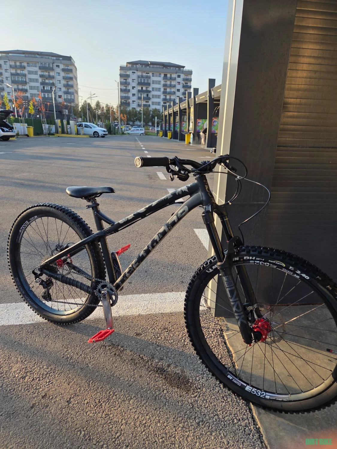 1. Dartmoor primal 2021