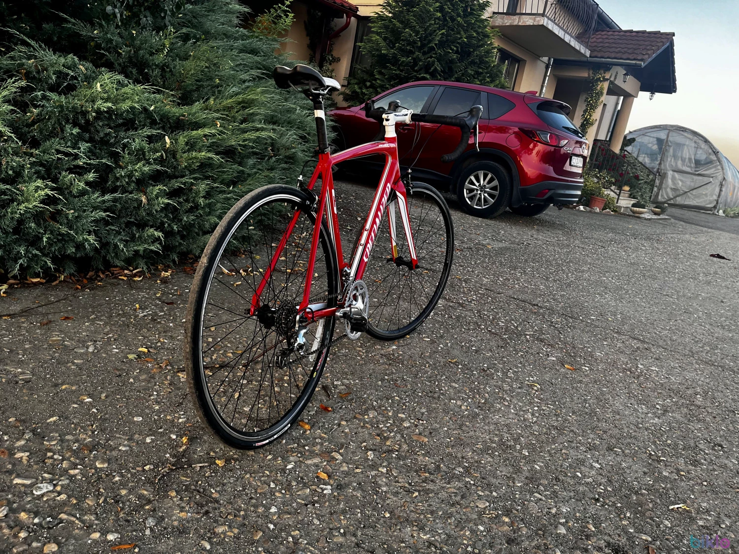 6. Specialized allez