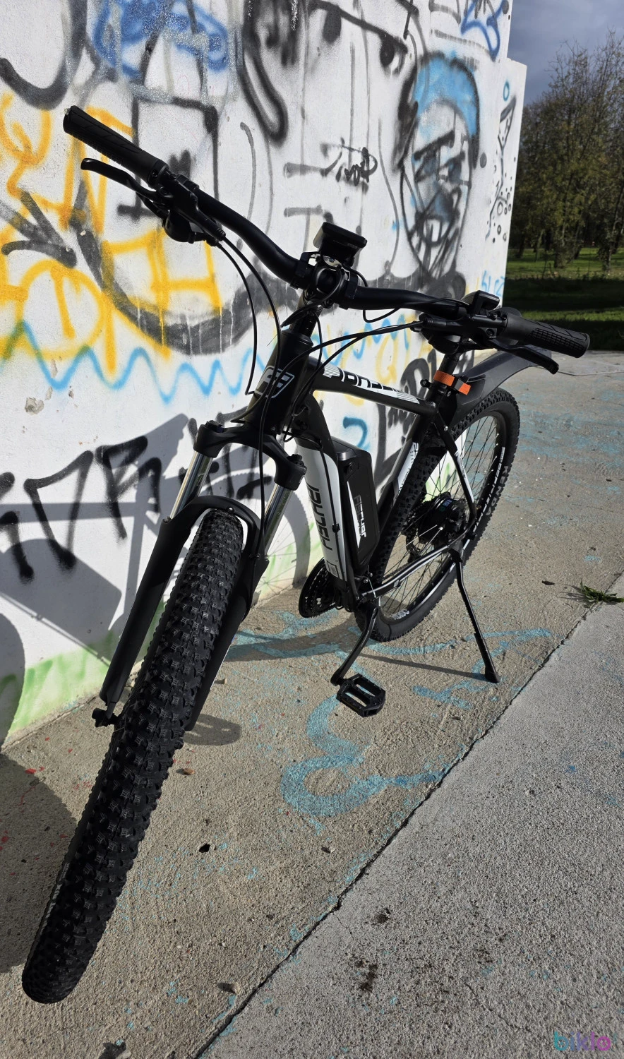 5. Fischer EM1724 e-bike roti29"