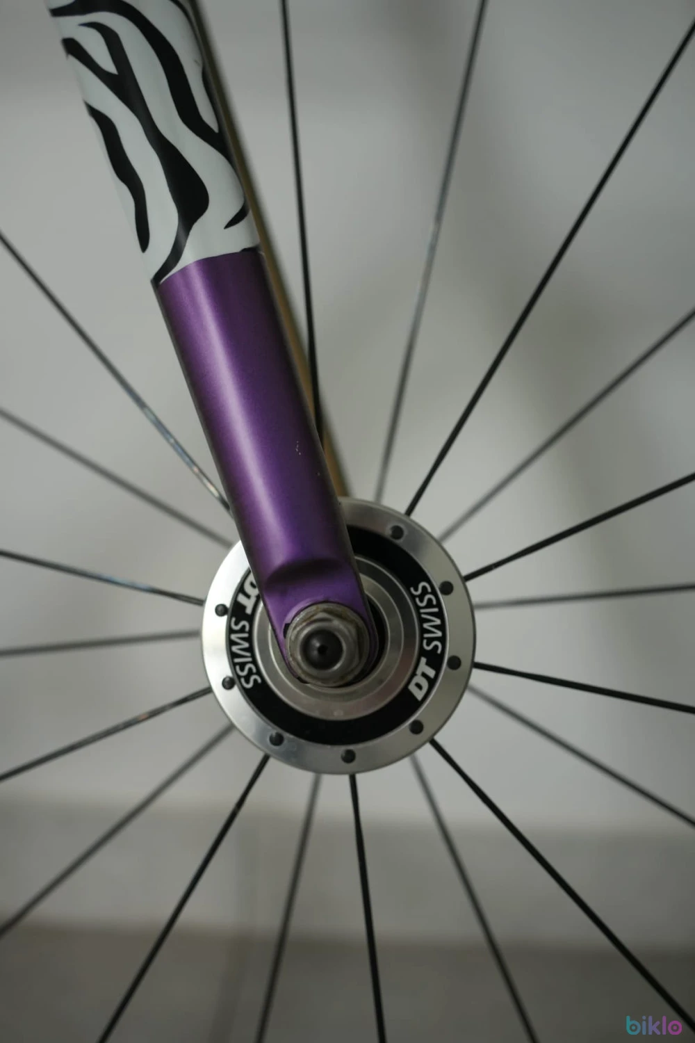 4. Colossi Rambler Track