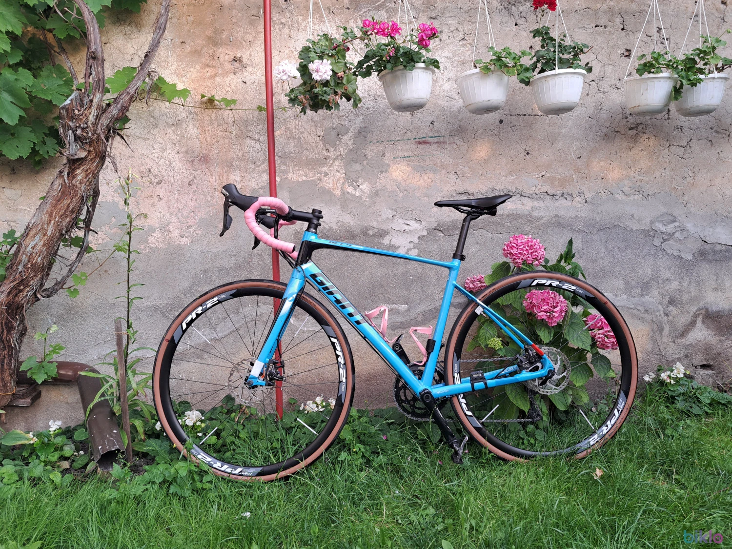 1. Giant Defy 1 Disk