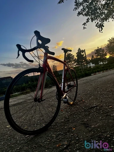 4. Specialized allez
