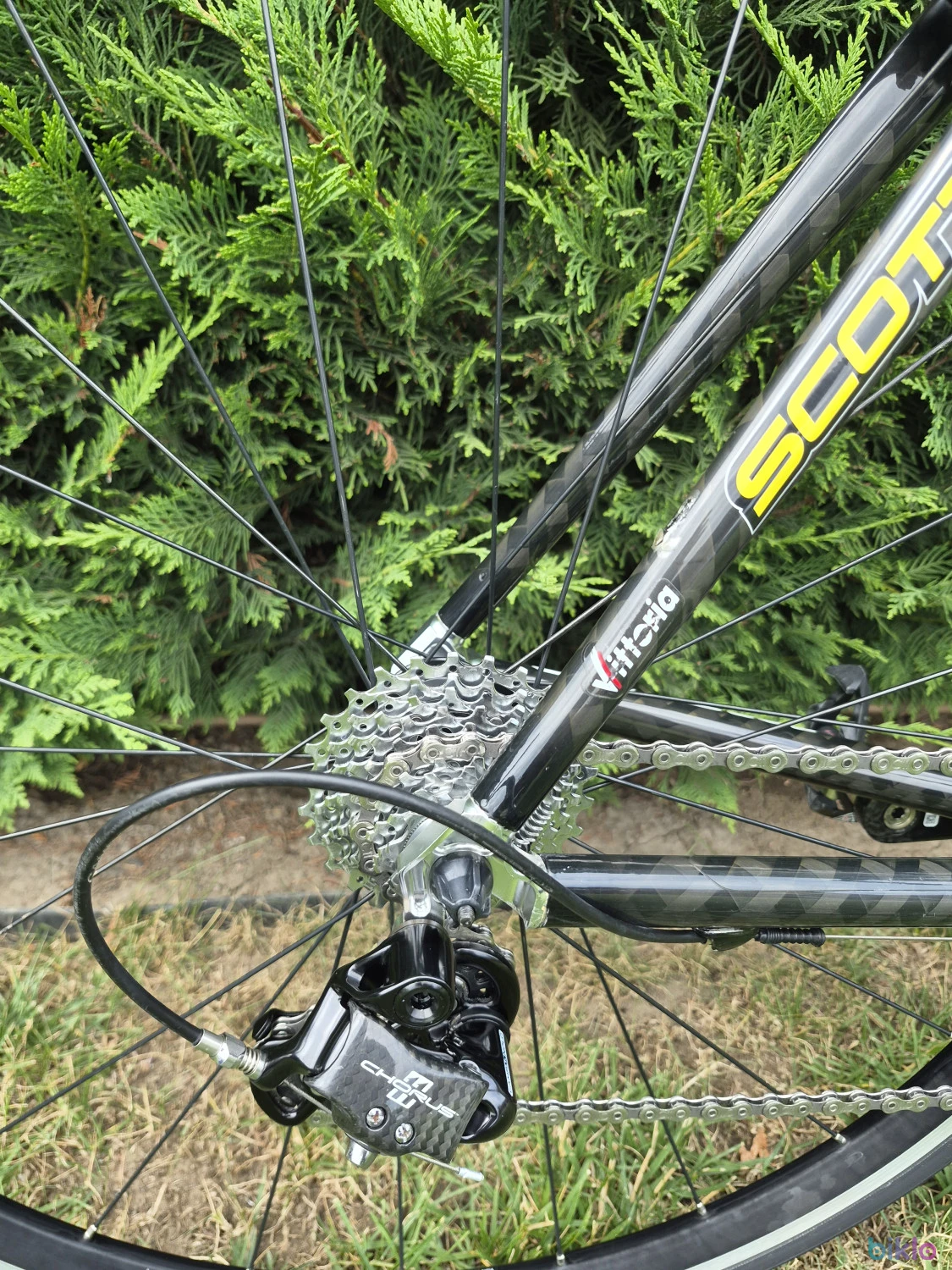 4. Cursieră SCOTT CR1 Team Carbon – Campagnolo Chorus 11v – Mărimea M