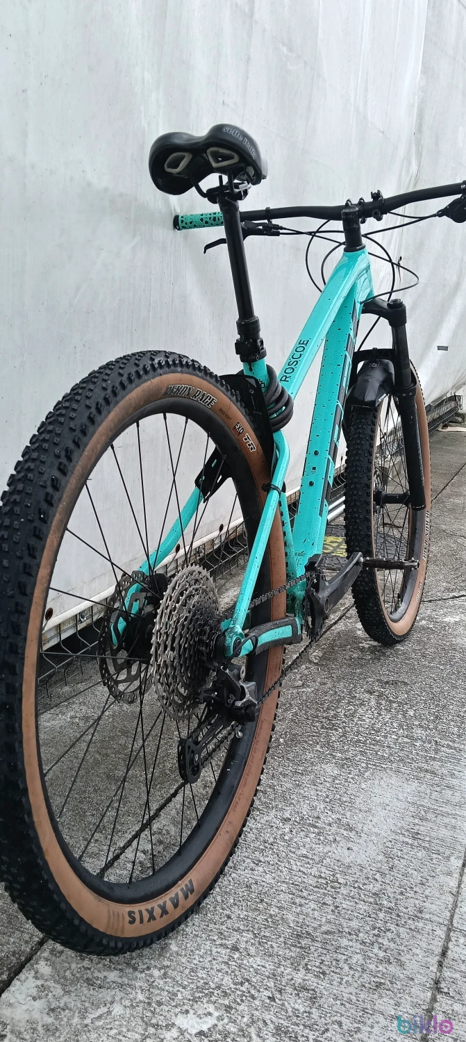 7. Trek Roscoe 7