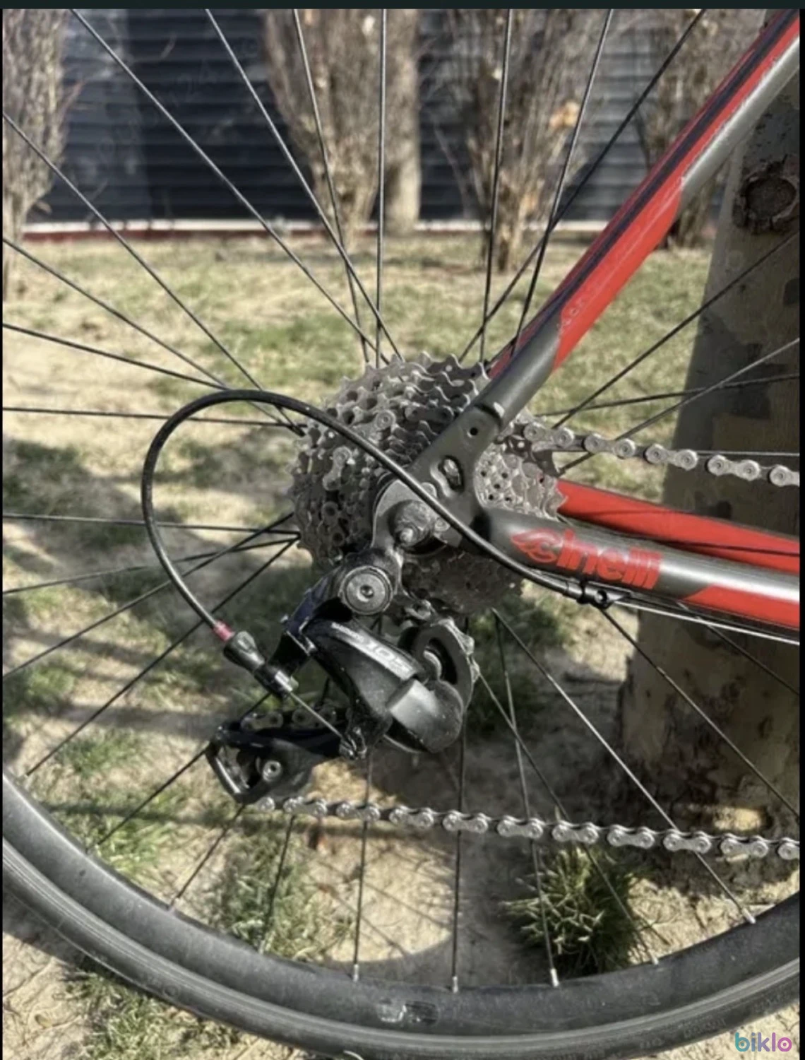 3. Cursiera Cinelli Saeta 105 M- 54cm