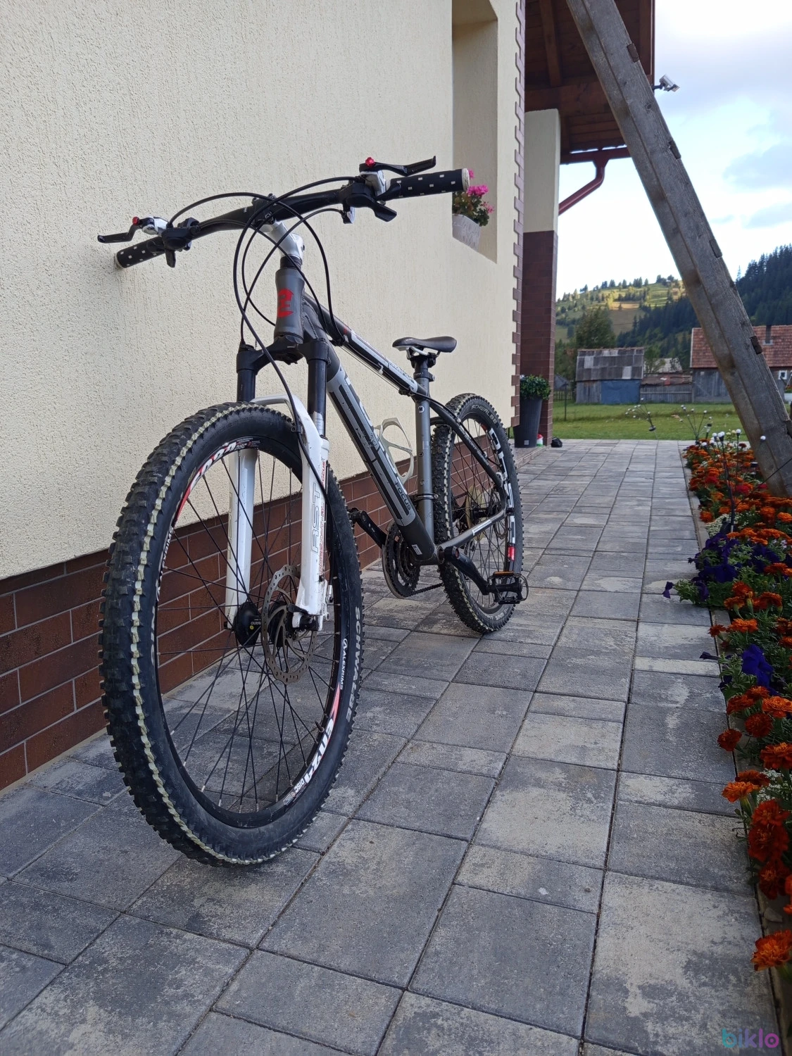 2. Bicicleta focus(livrez)