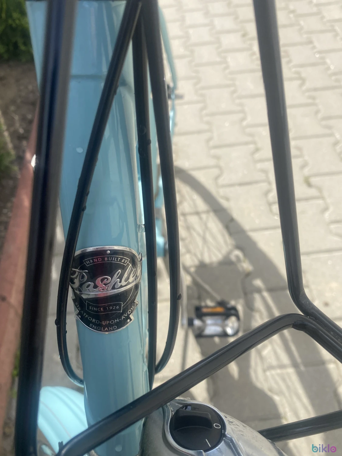 1. PASHLEY BRITANNIA cauta doamna cocheta