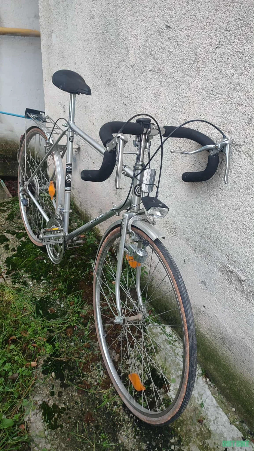 1. Semicursiera Cito