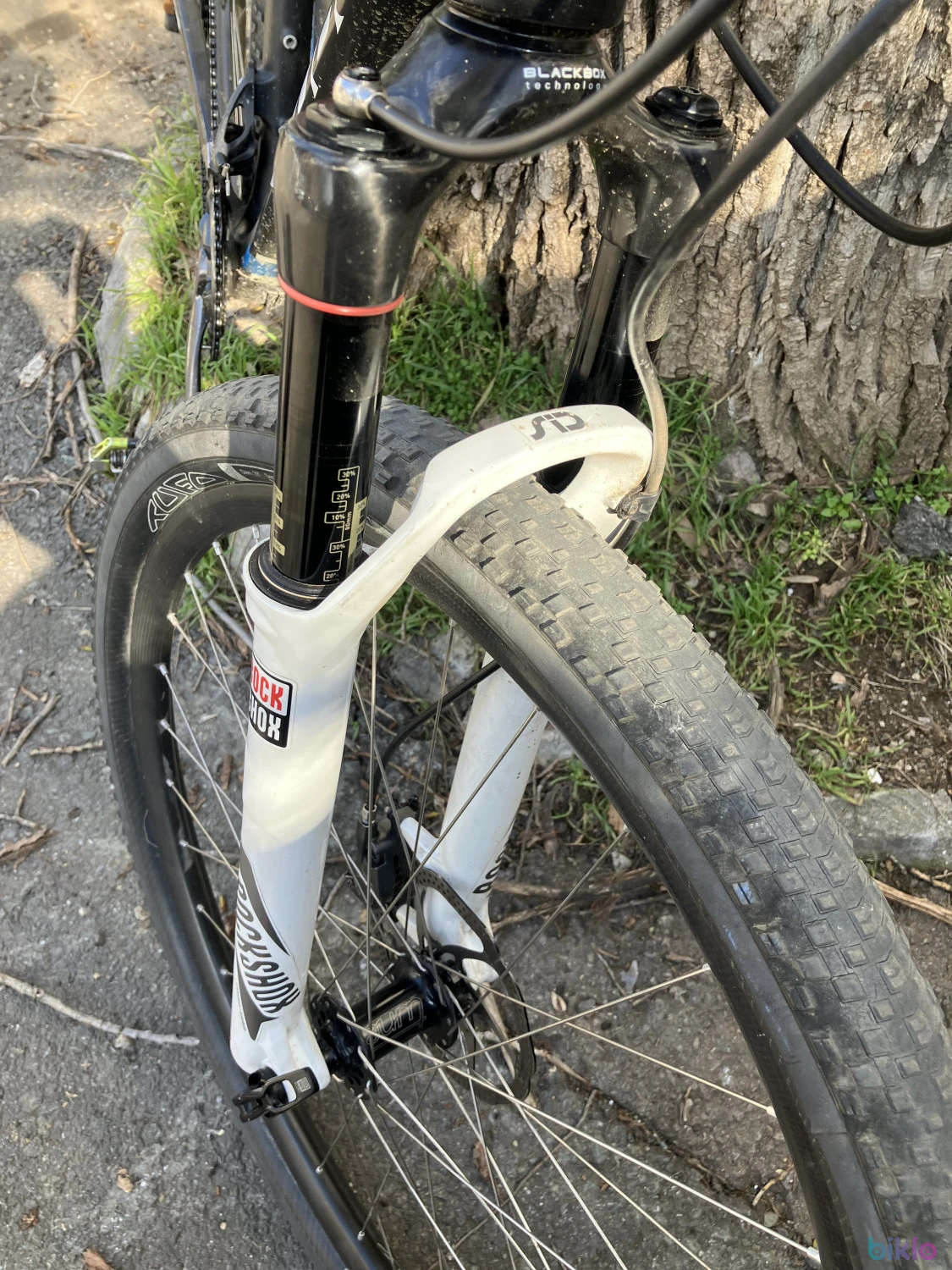 5. Cube Elite L 19 inch