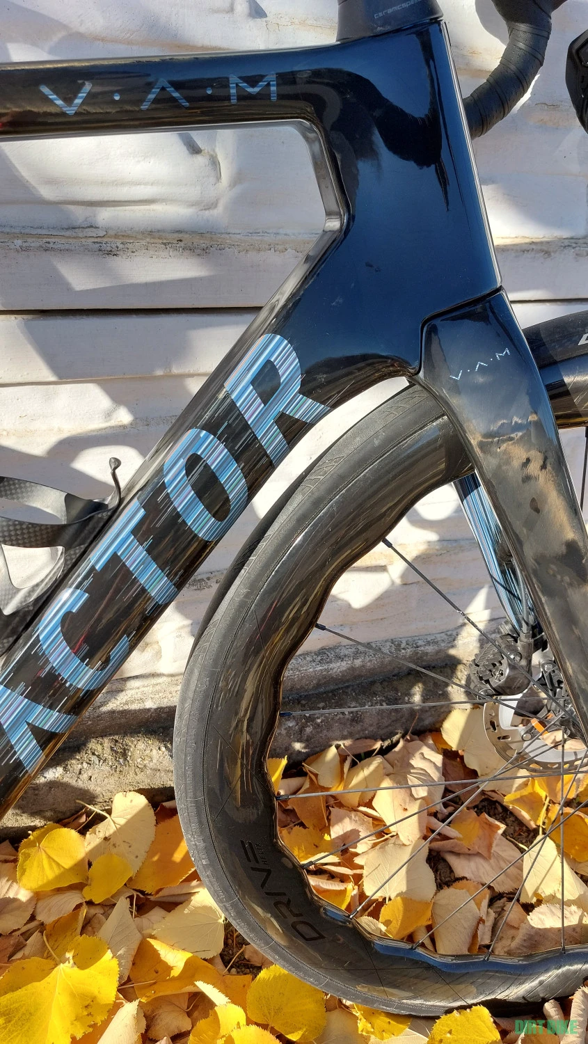 7. Factor Ostro VAM Di2