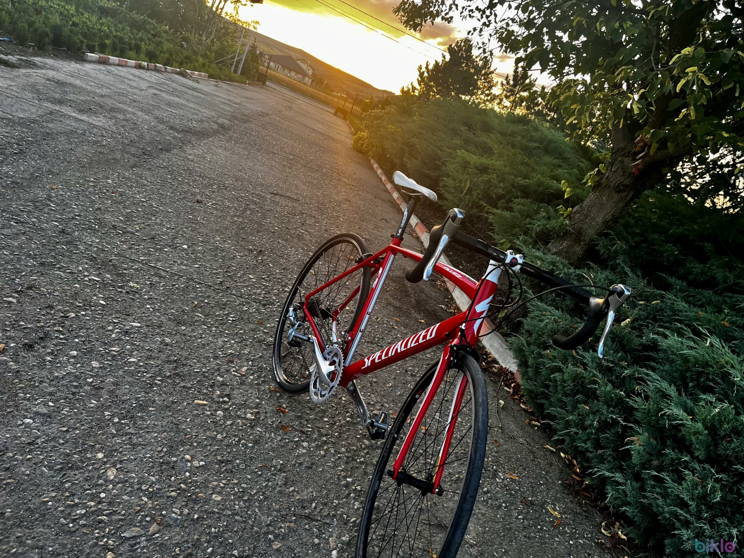 2. Specialized allez