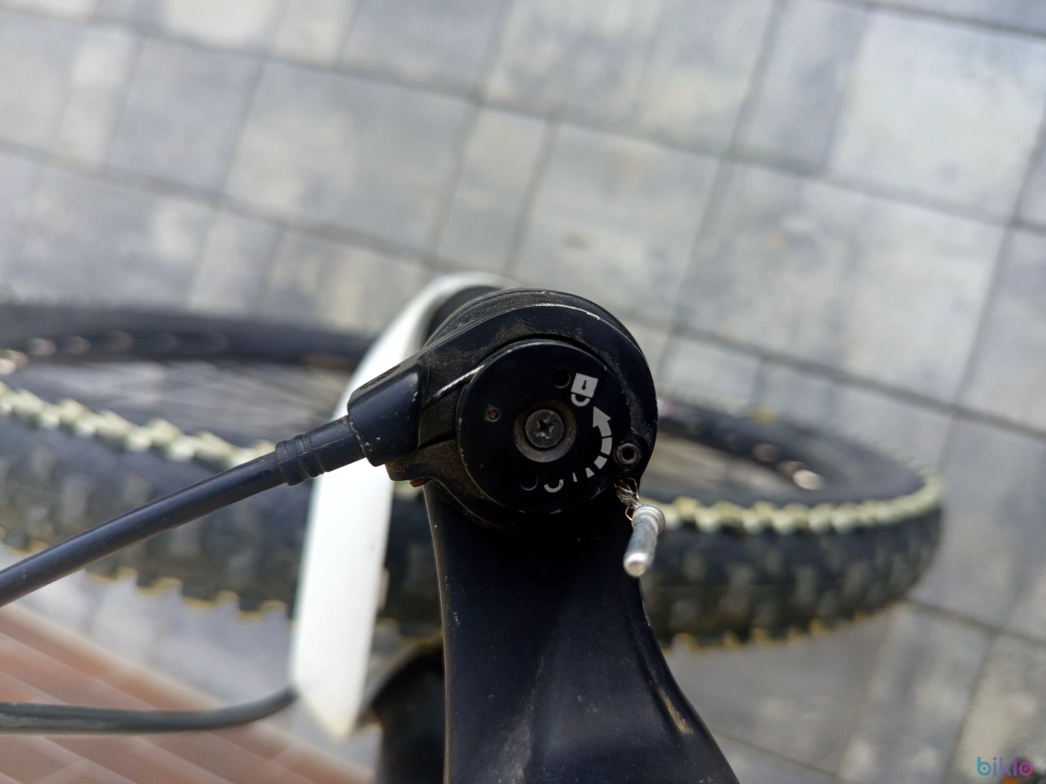 3. Bicicleta focus(livrez)