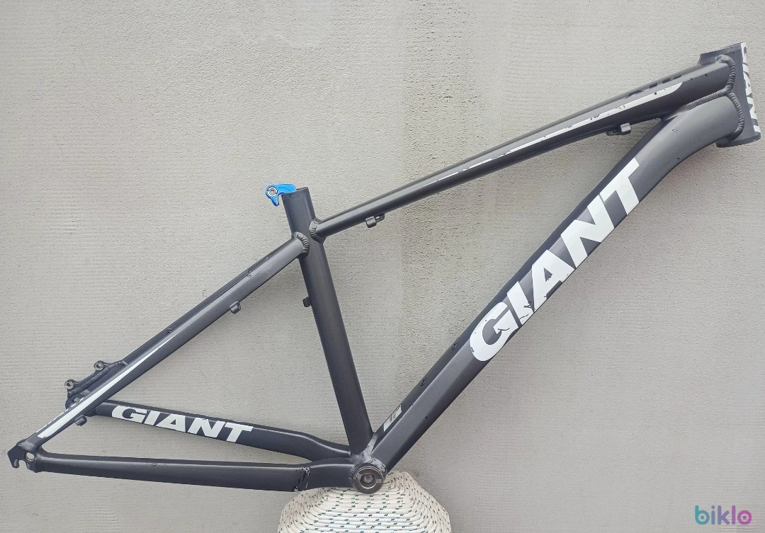 1. Giant xtc
