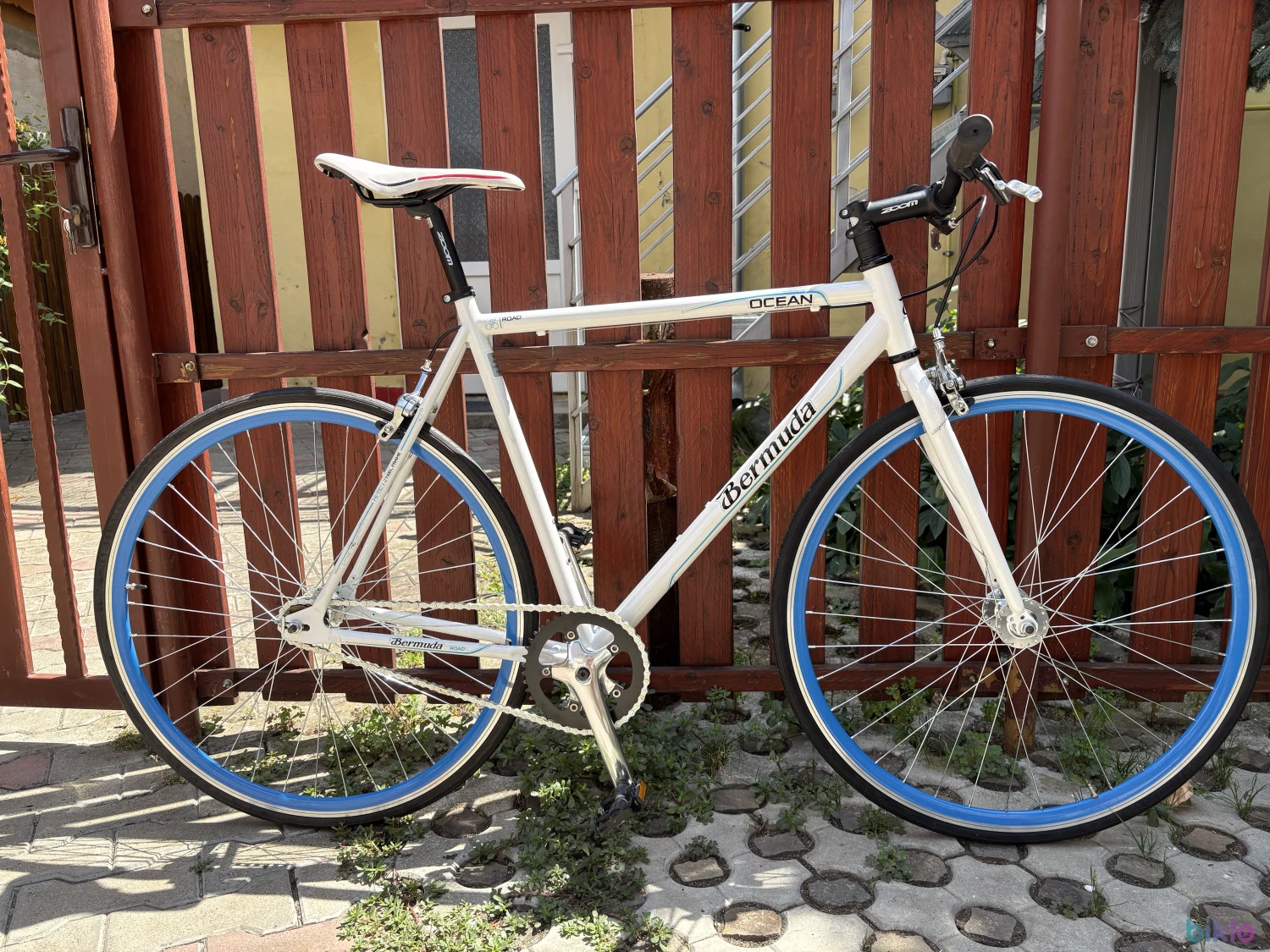 1. Singlespeed/fixie