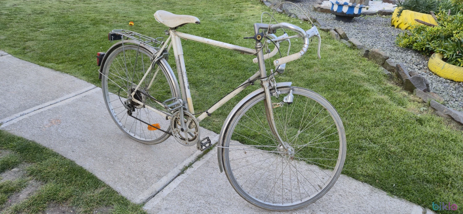 2. Cursiera old timer
