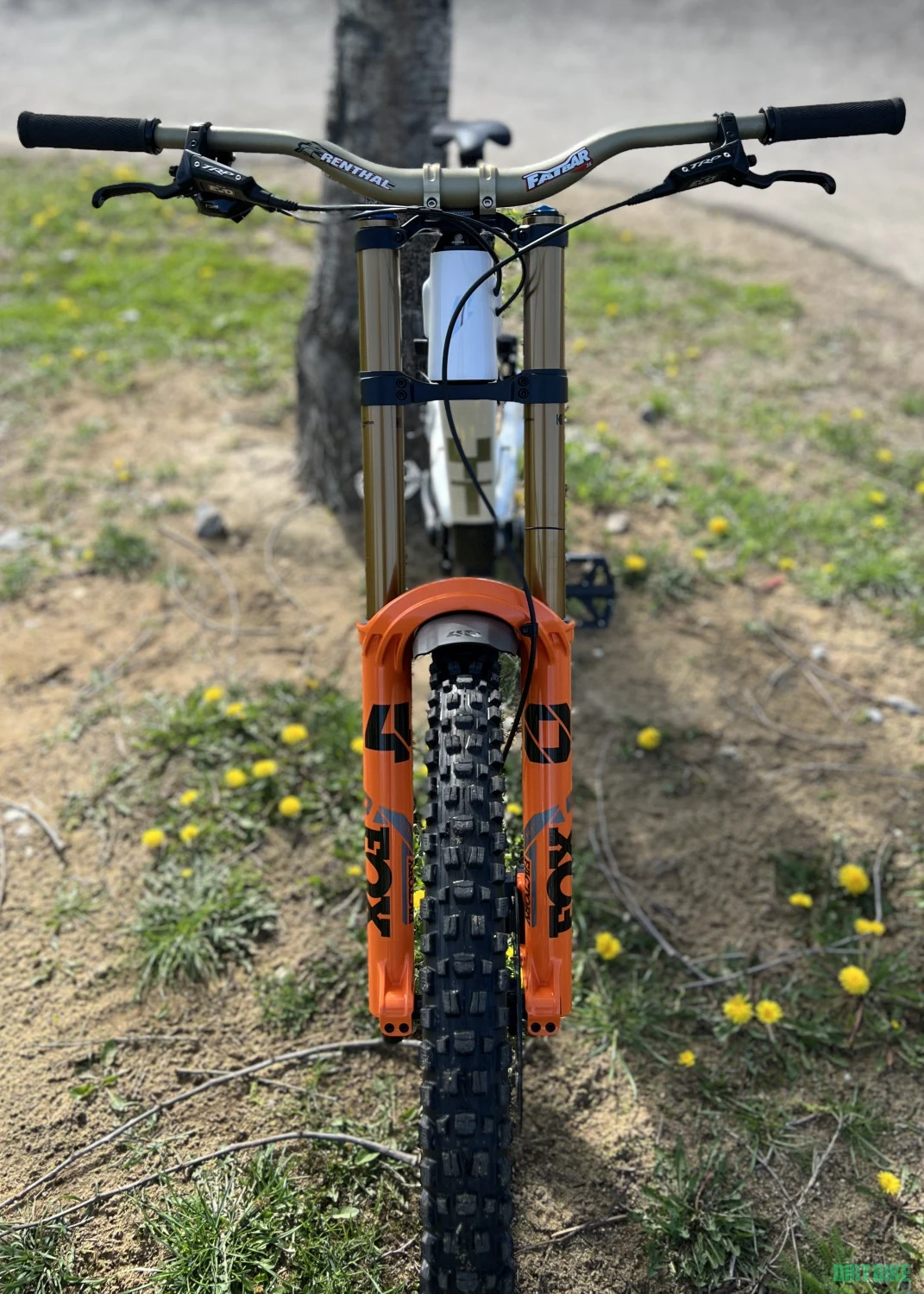 10. YT Tues Core 4