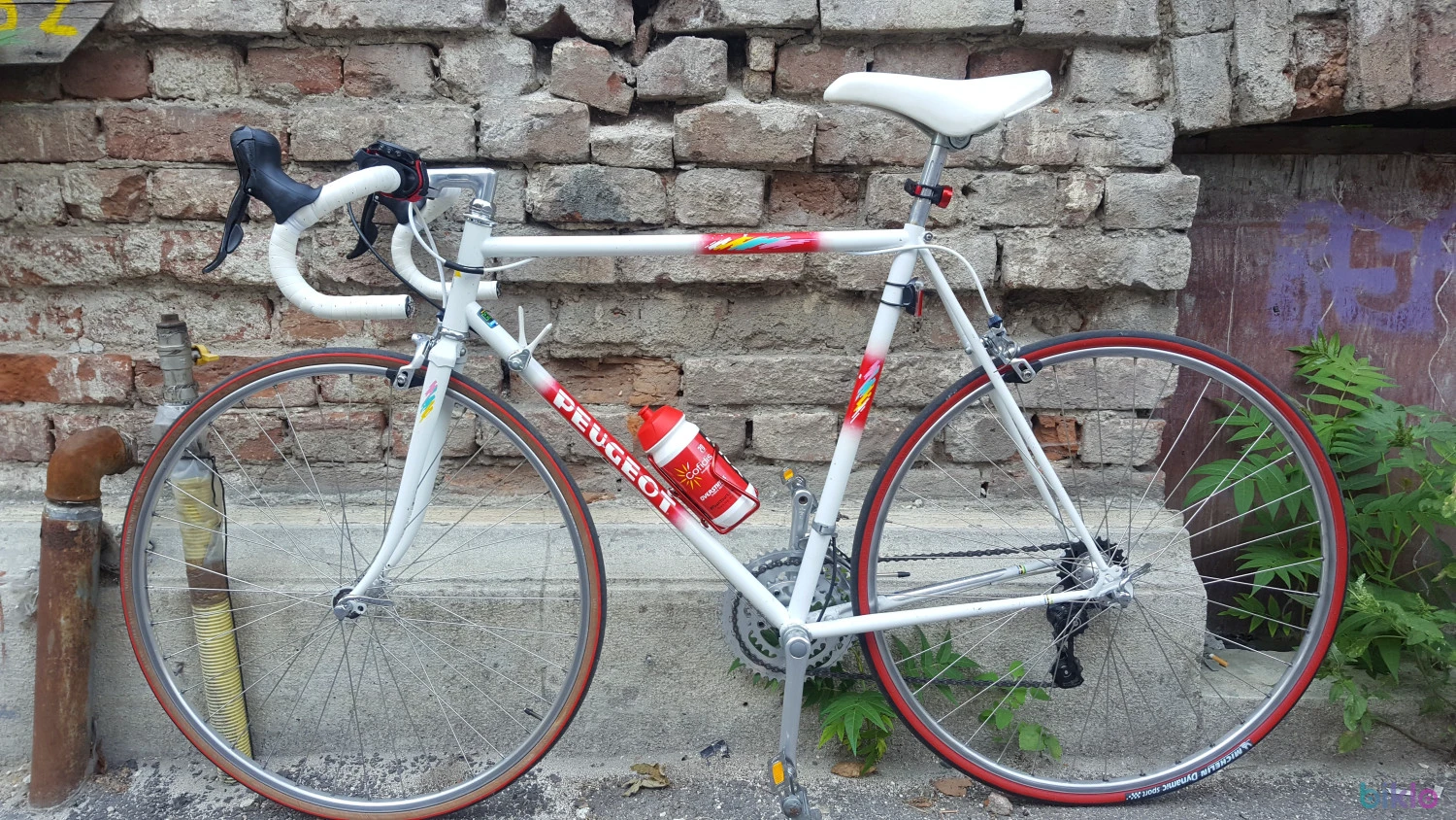 2. Cursiera oțel Peugeot St Bernard, retrofit ergopowere