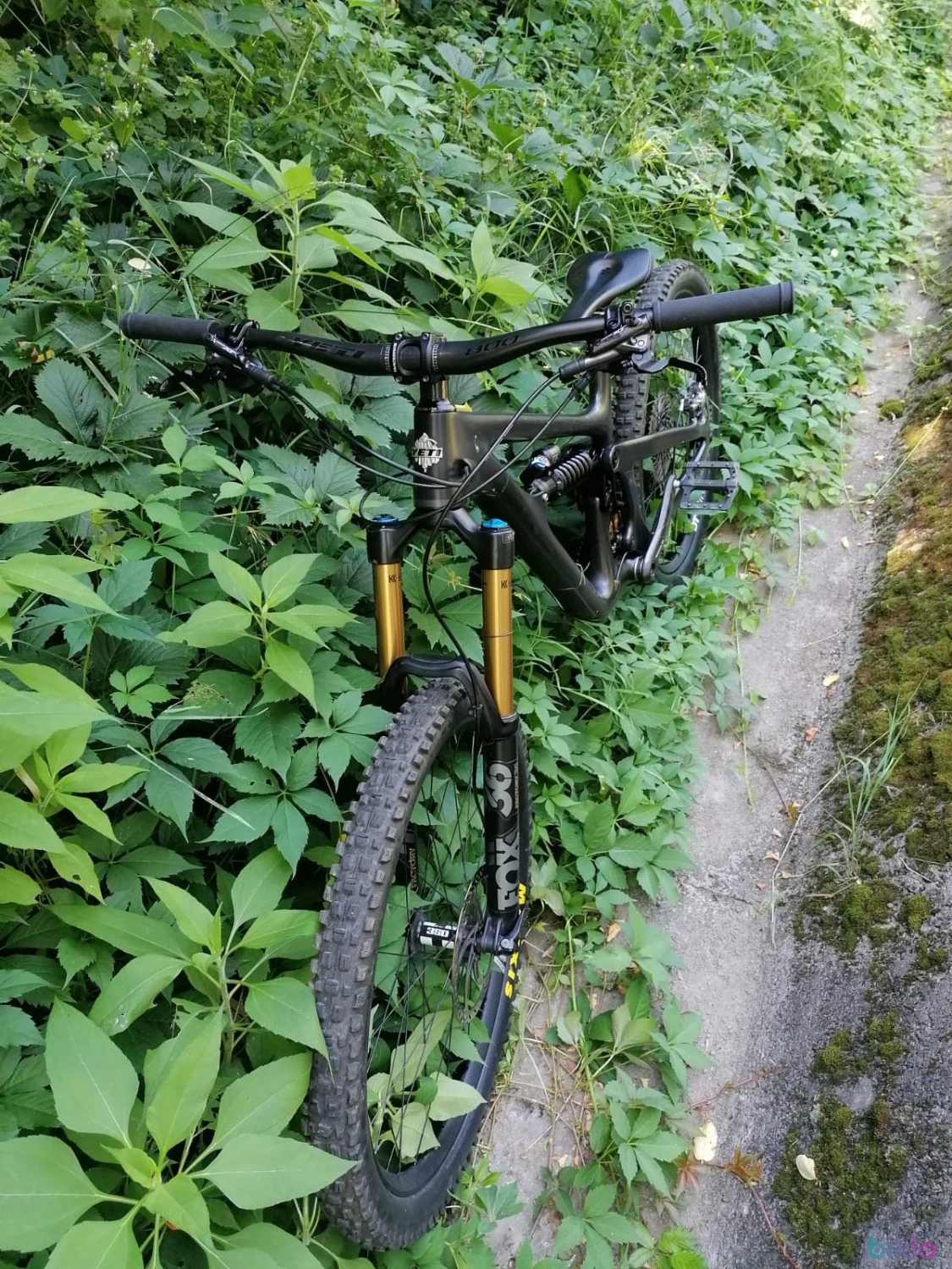 5. Yeti SB165 t2