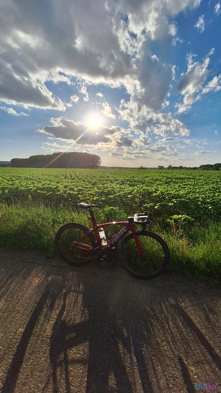 6. Trek madone
