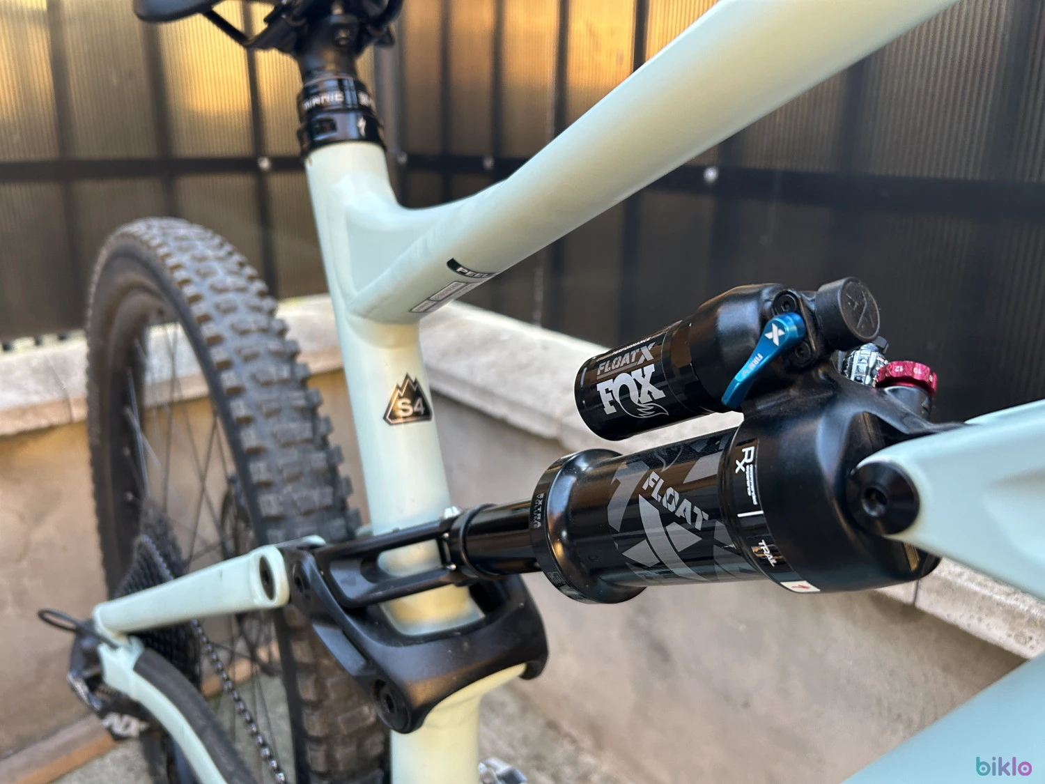 2. Specialized status 16