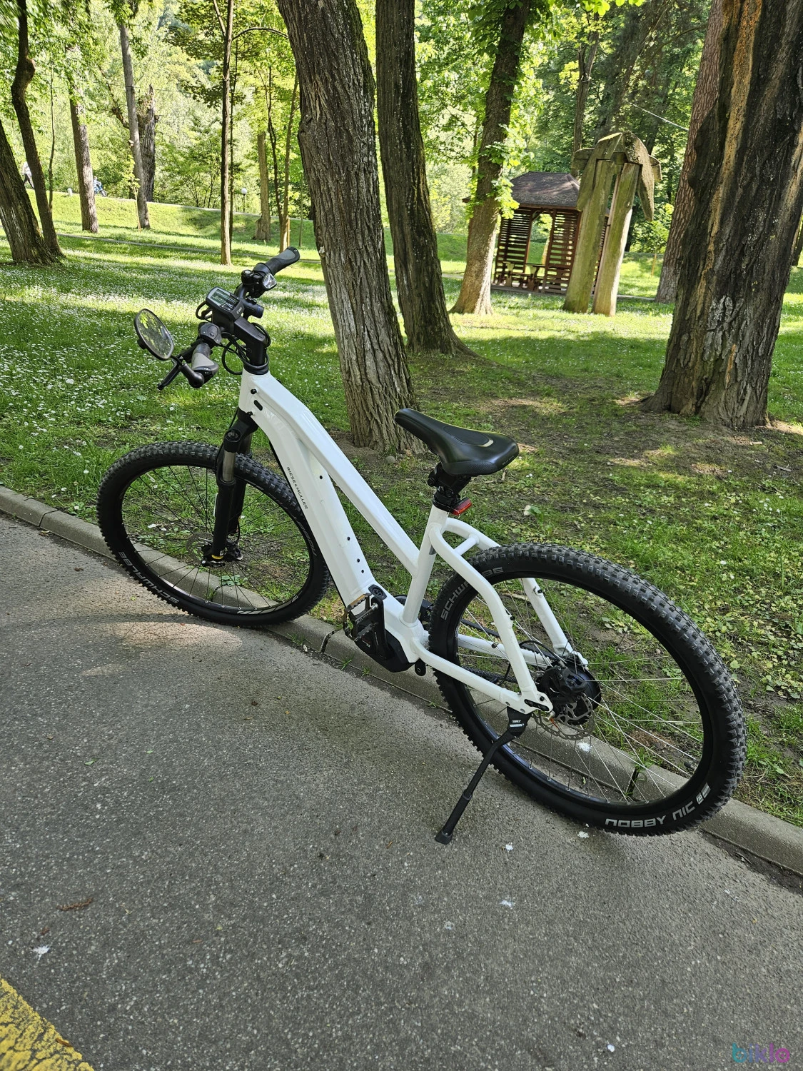 3. Bicicleta electrica Riese Muller