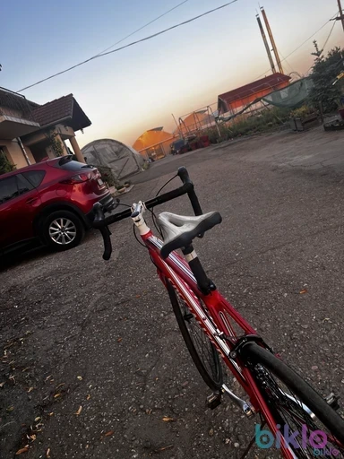 3. Specialized allez