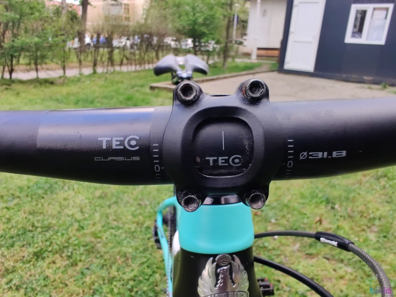 8. Bianchi Methanol CV