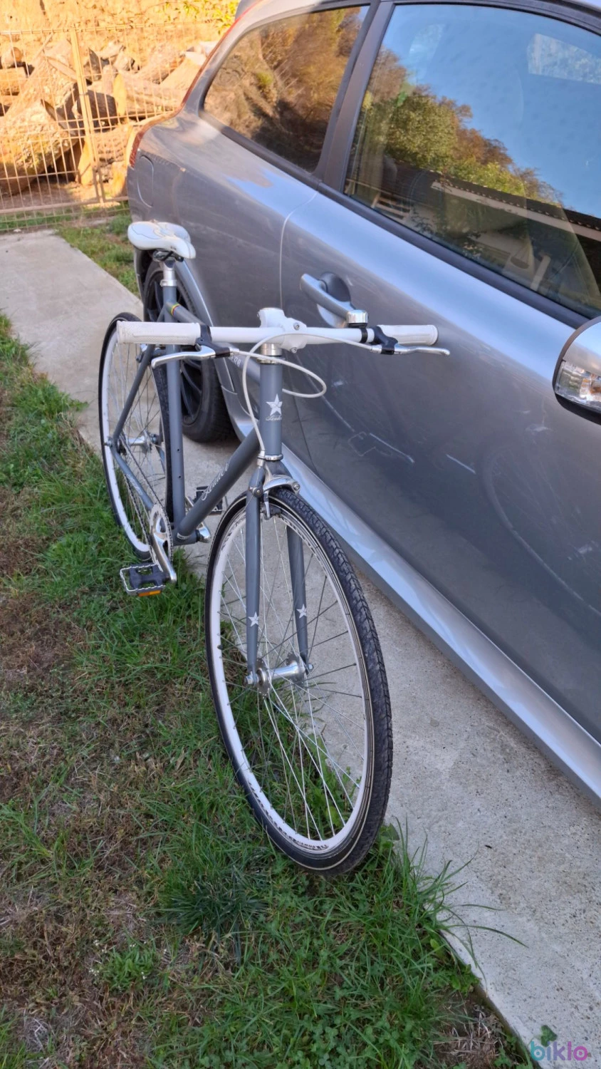 1. Single speed/fixie