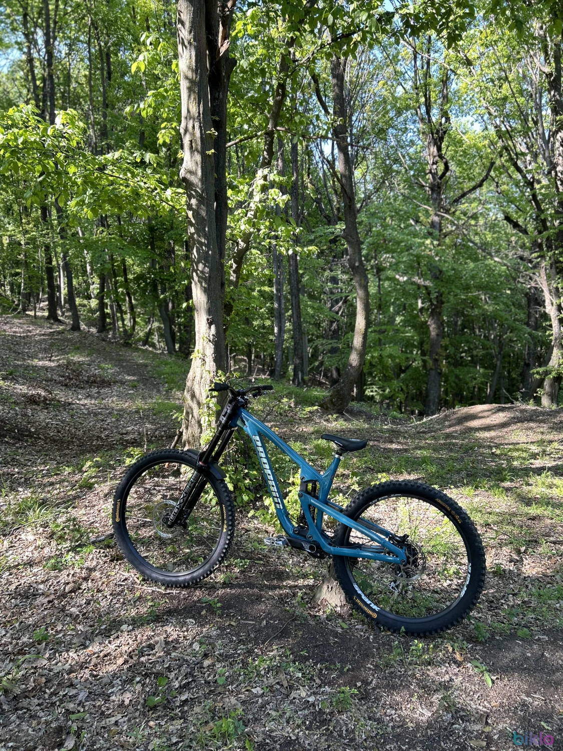 4. Bicicleta downhill Propain Spindrift Al Park 2024 marime L mullet