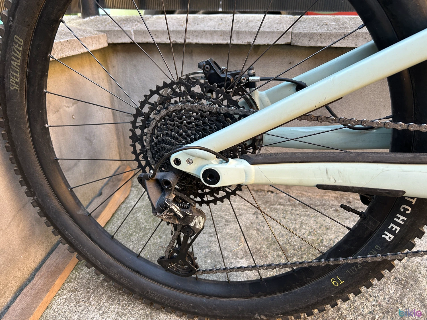 4. Specialized status 16