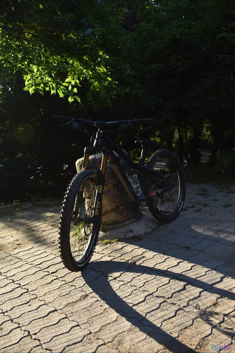3. Cadru Dartmoor Hornet Pro M + Headset