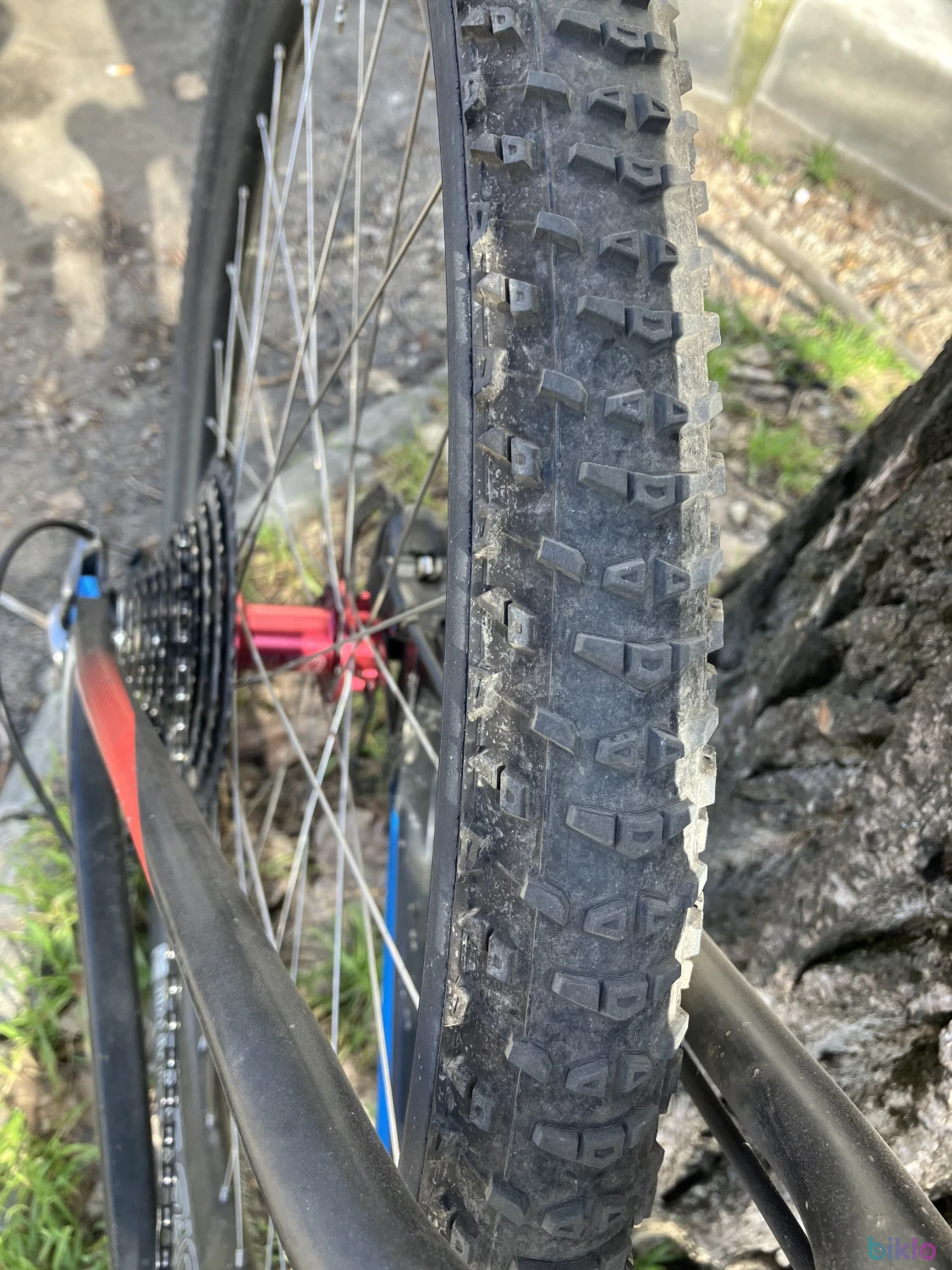 7. Cube Elite L 19 inch