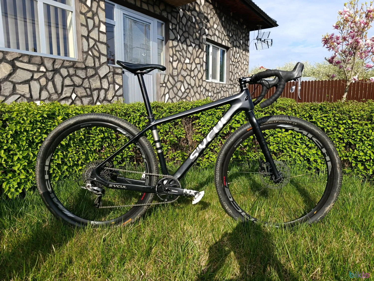 1. Ridley ignite