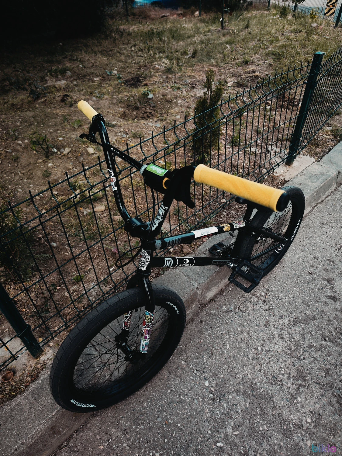 1. BMX Total custom build