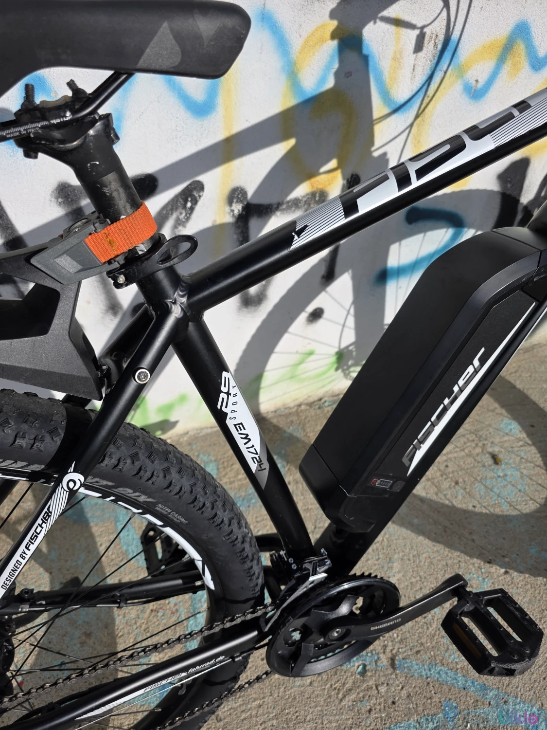 10. Fischer EM1724 e-bike roti29"