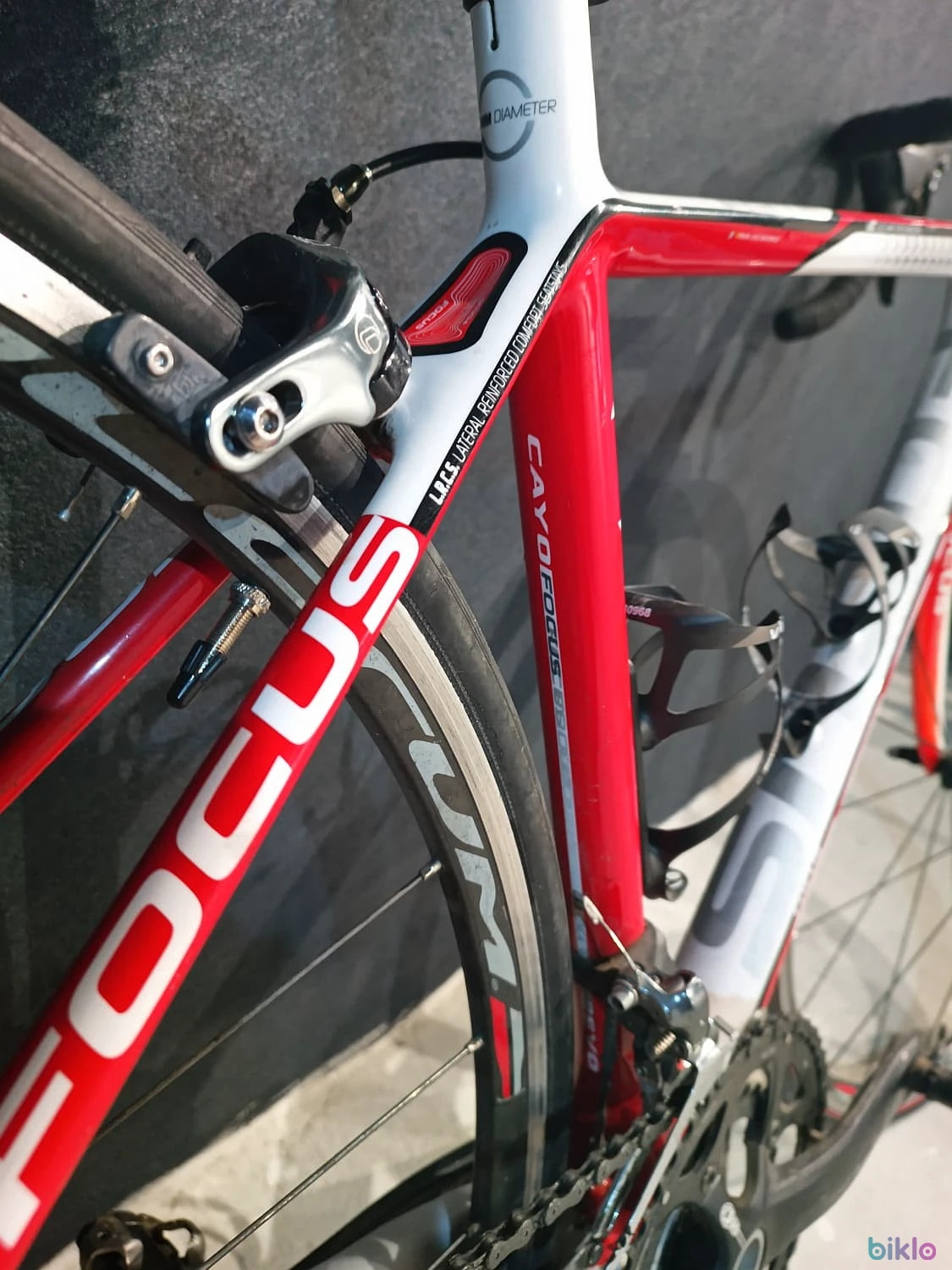 8. Focus Cayo EVO