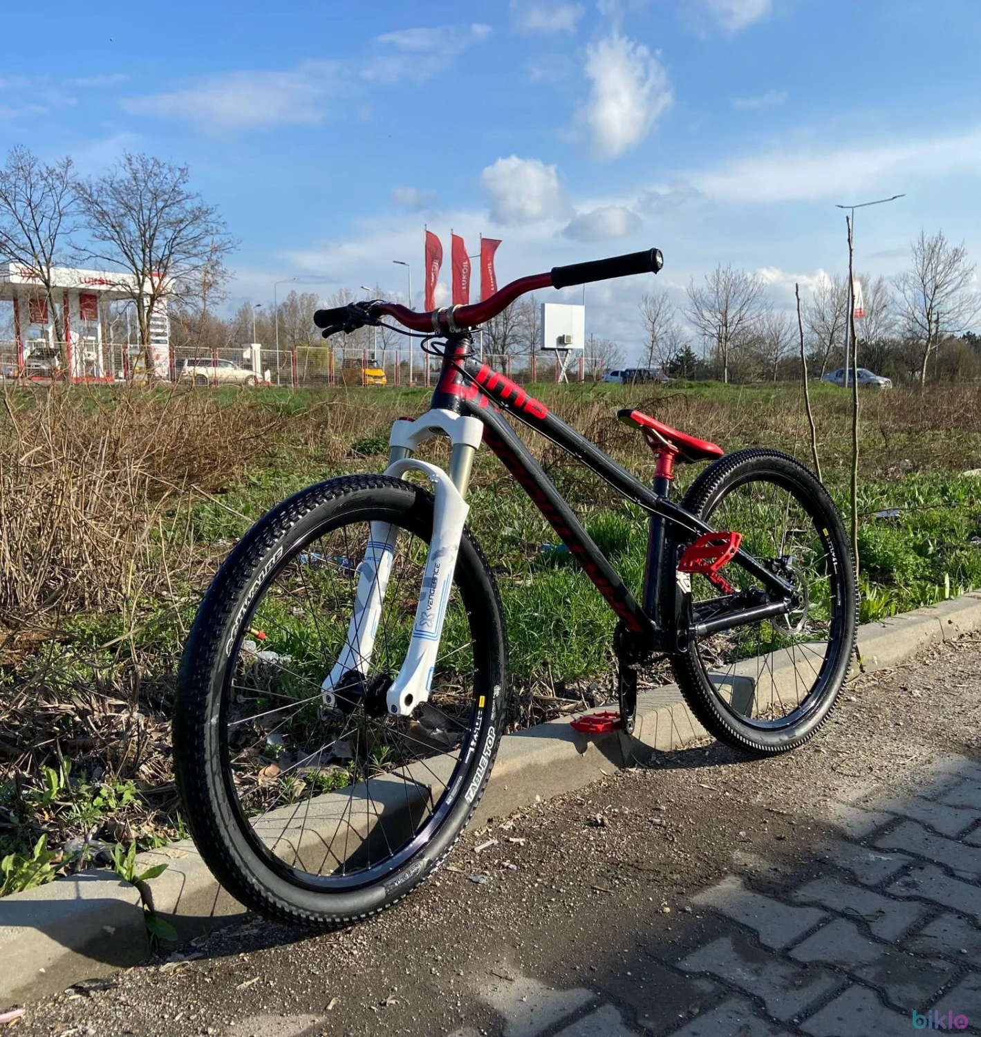 1. Vand dirtjumper Dartmoor Two6player Pump custom 26''