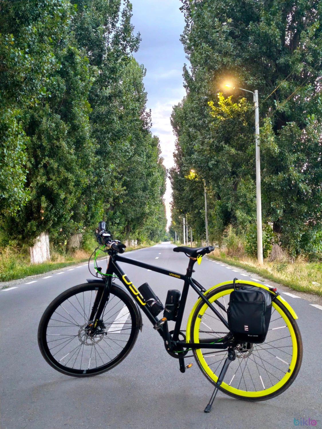 1. Bicicleta univega pe curea, Bicicleta pe curea, Bicicleta de oraș, Bicicleta de trekking,