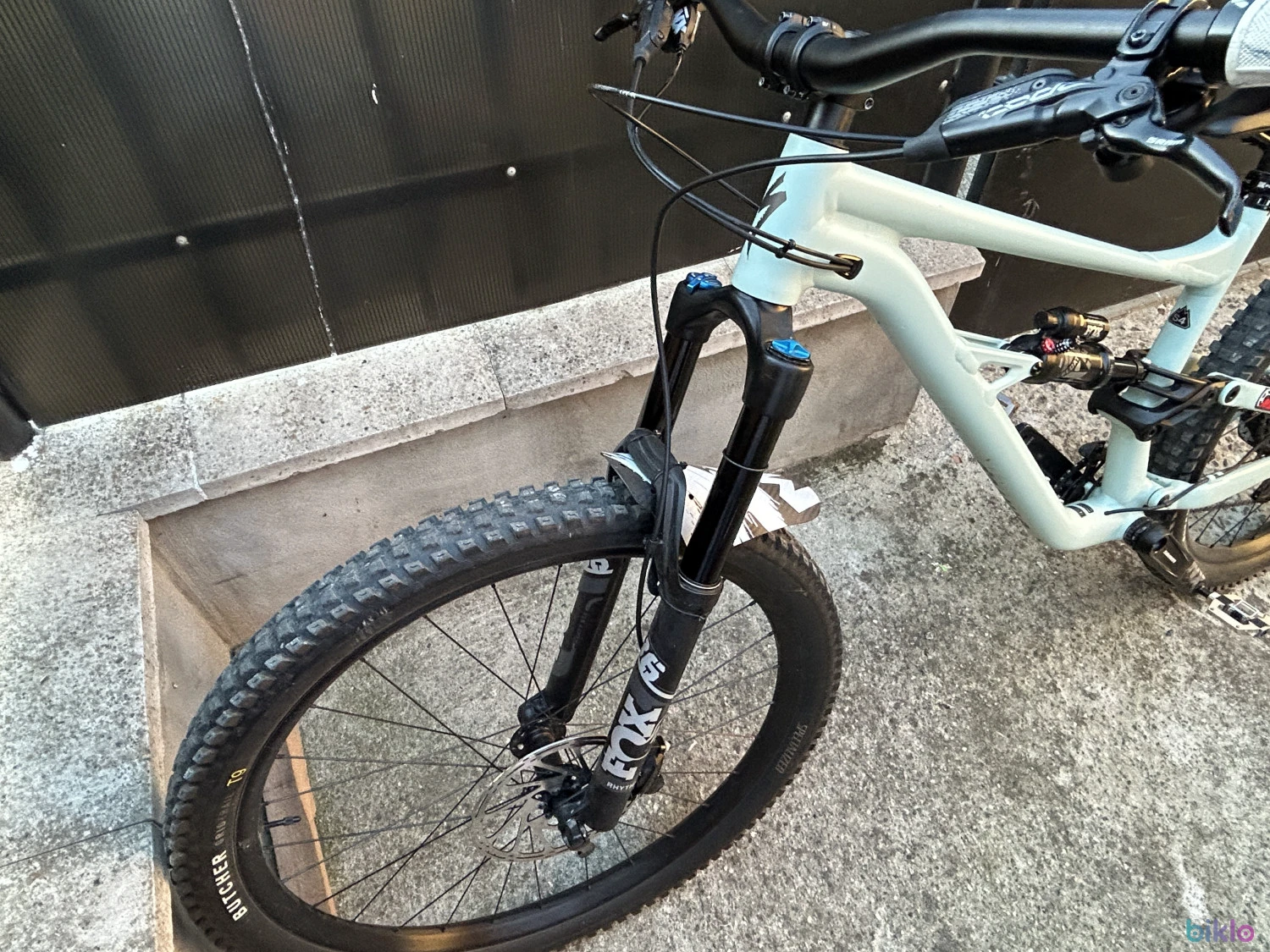 5. Specialized status 16
