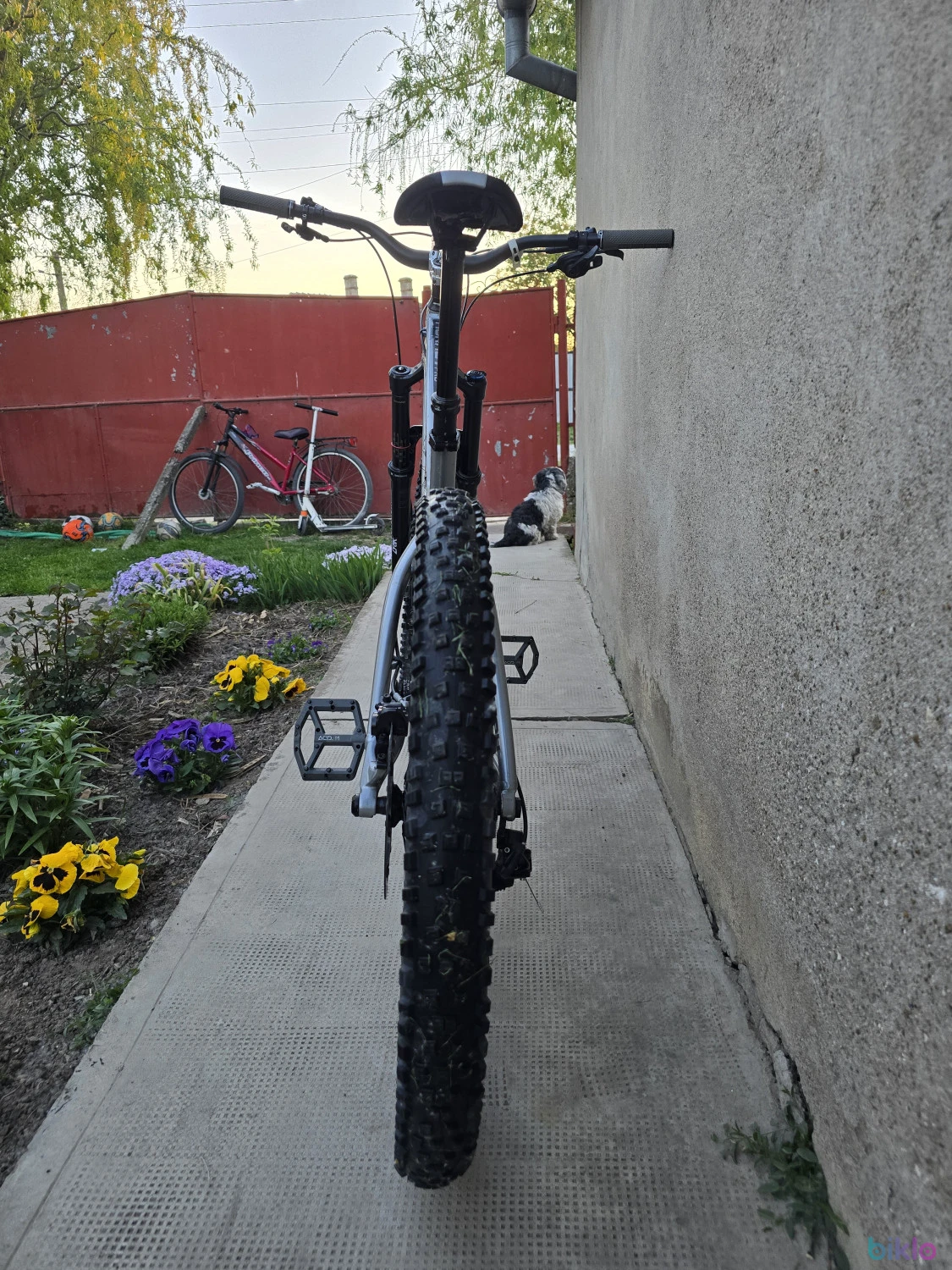 3. Dartmoor hornet pro