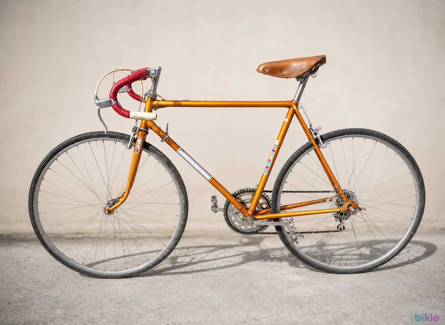 1. Bicicletă Semicursieră CNYTHNK ( Rândunica)
