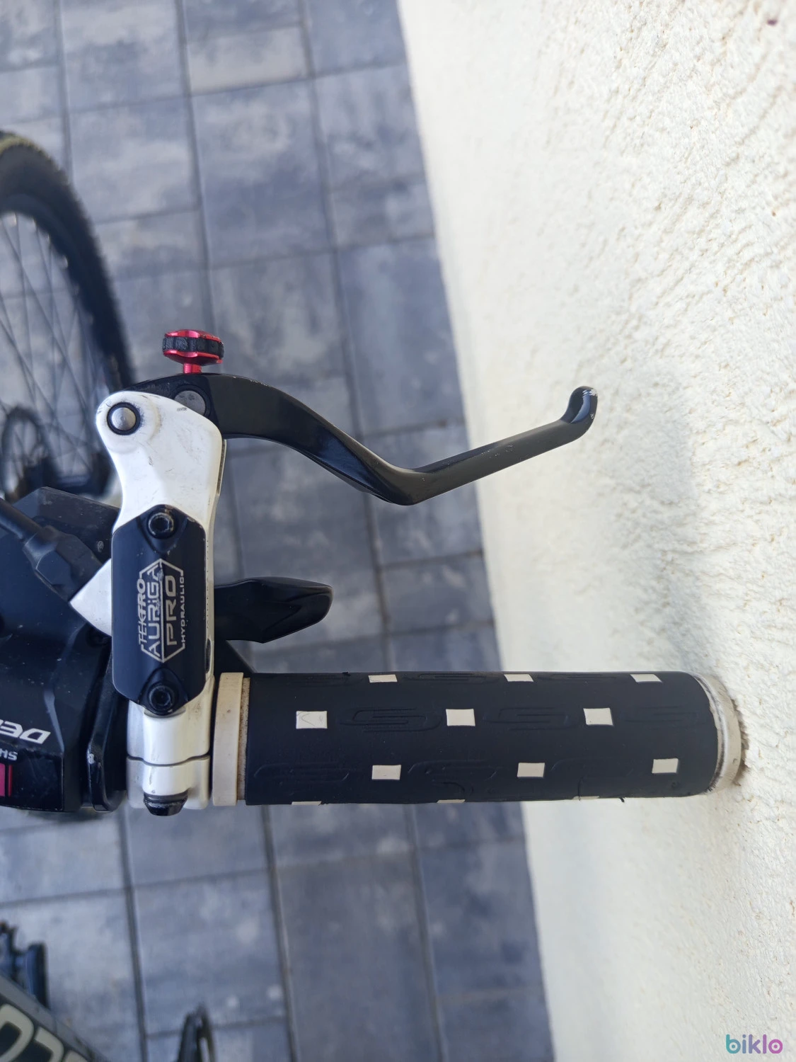 5. Bicicleta focus(livrez)